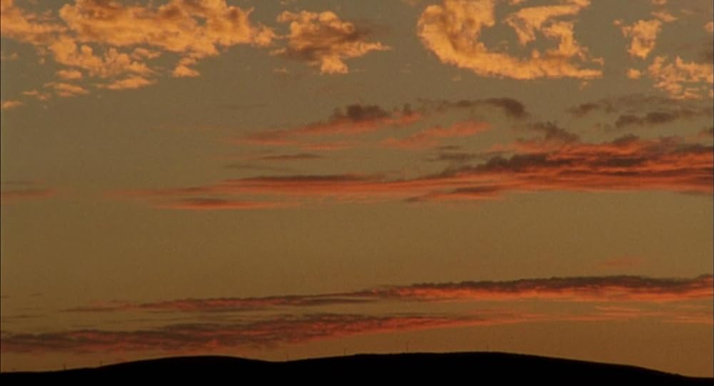 マイ・サマー・オブ・ラブの画像