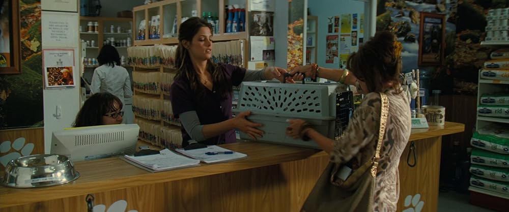 アパリション -悪霊-の画像