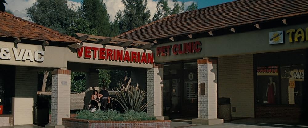 アパリション -悪霊-の画像