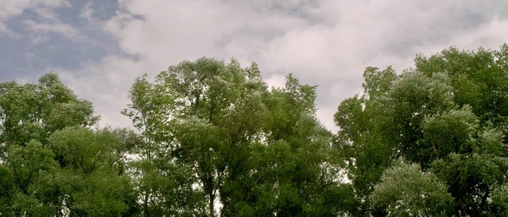 湖の見知らぬ男の画像