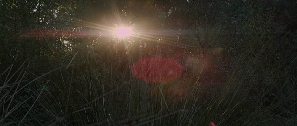 湖の見知らぬ男の画像