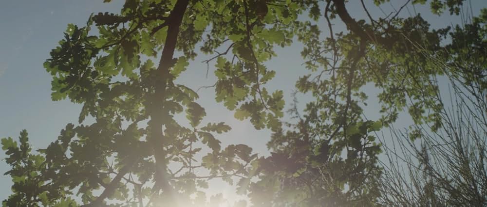 湖の見知らぬ男の画像