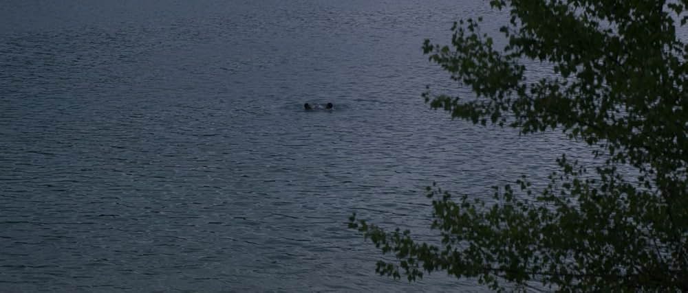 「湖の見知らぬ男」の画像