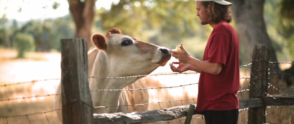 Cowspiracy: サステイナビリティ（持続可能性）の秘密の画像