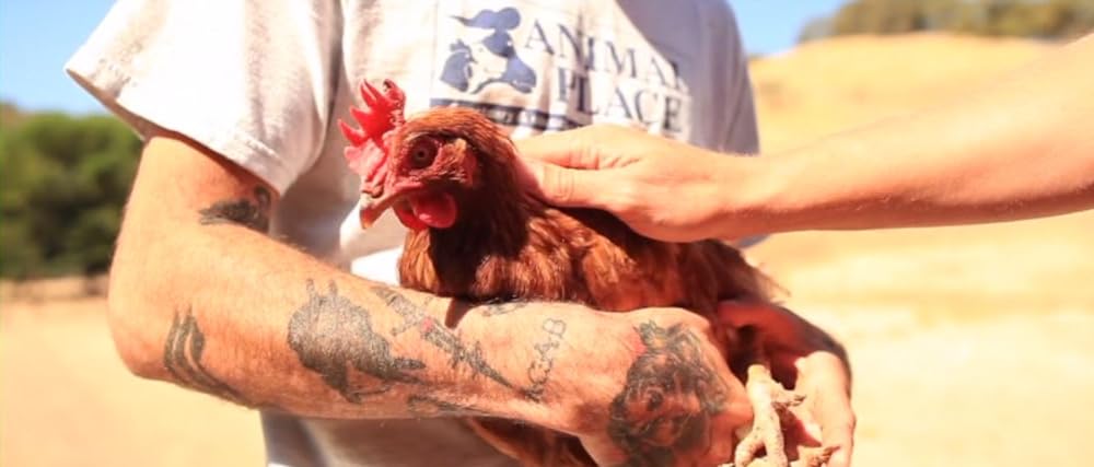 Cowspiracy: サステイナビリティ（持続可能性）の秘密の画像