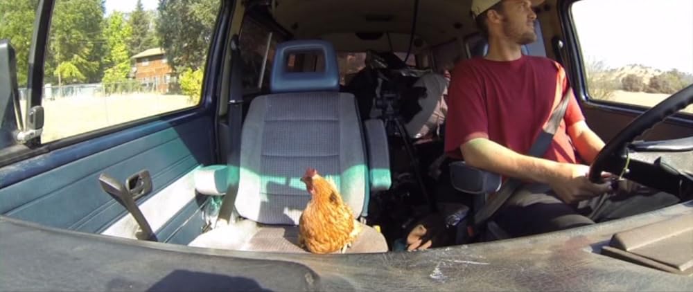 Cowspiracy: サステイナビリティ（持続可能性）の秘密の画像