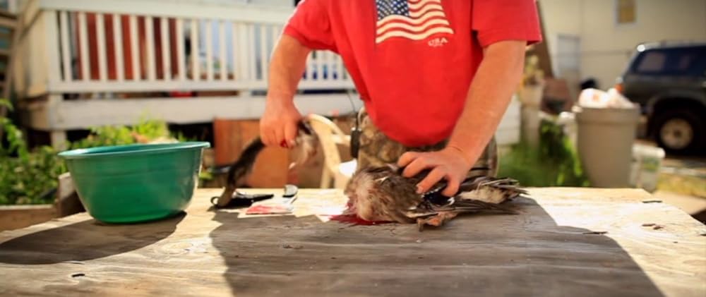 Cowspiracy: サステイナビリティ（持続可能性）の秘密の画像