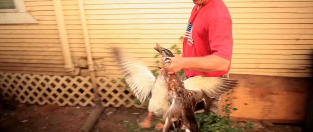 Cowspiracy: サステイナビリティ（持続可能性）の秘密の画像