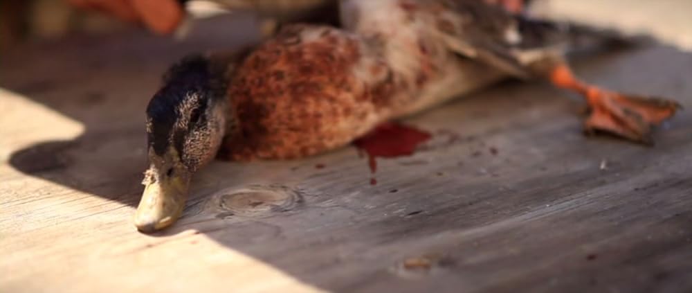 Cowspiracy: サステイナビリティ（持続可能性）の秘密の画像