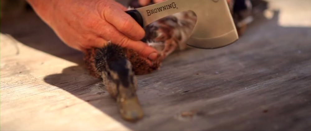 Cowspiracy: サステイナビリティ（持続可能性）の秘密の画像