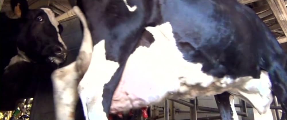 「Cowspiracy: サステイナビリティ（持続可能性）の秘密」の画像