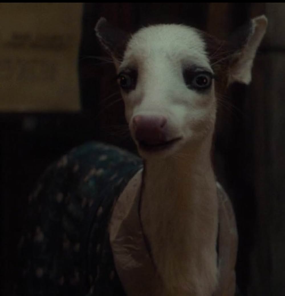 ウィキッド ふたりの魔女の画像