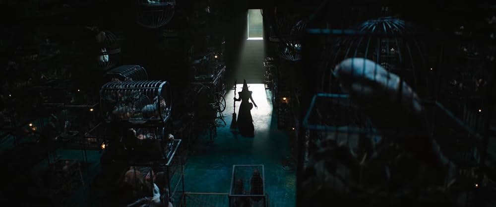 ウィキッド 永遠の約束の画像