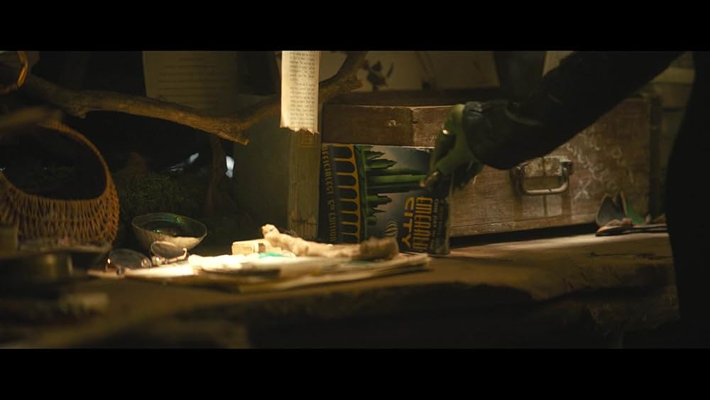 ウィキッド 永遠の約束の画像