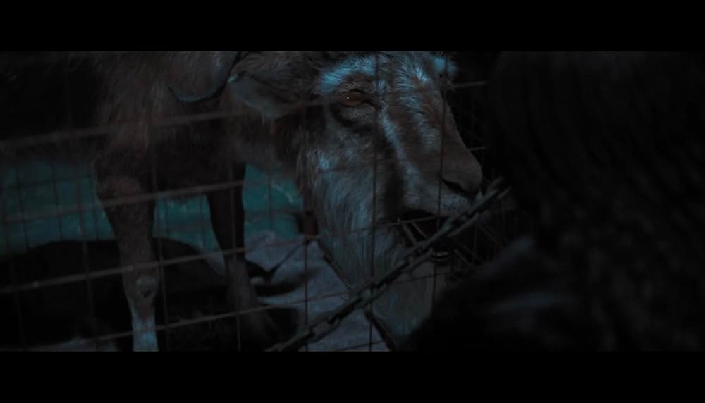 ウィキッド 永遠の約束の画像