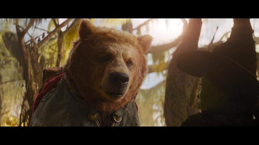 ウィキッド 永遠の約束の画像