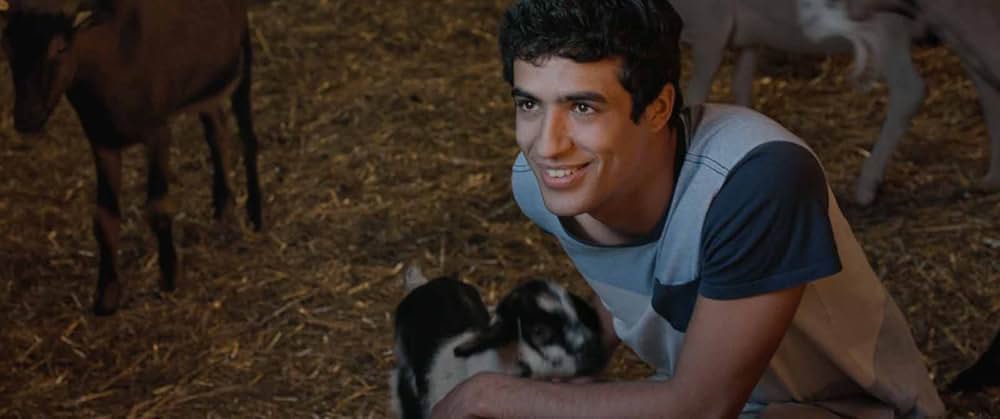 メクトーブ，マイ・ラブの画像