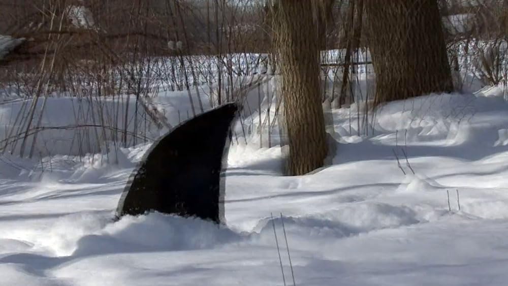 スノーシャーク 悪魔のフカヒレの画像