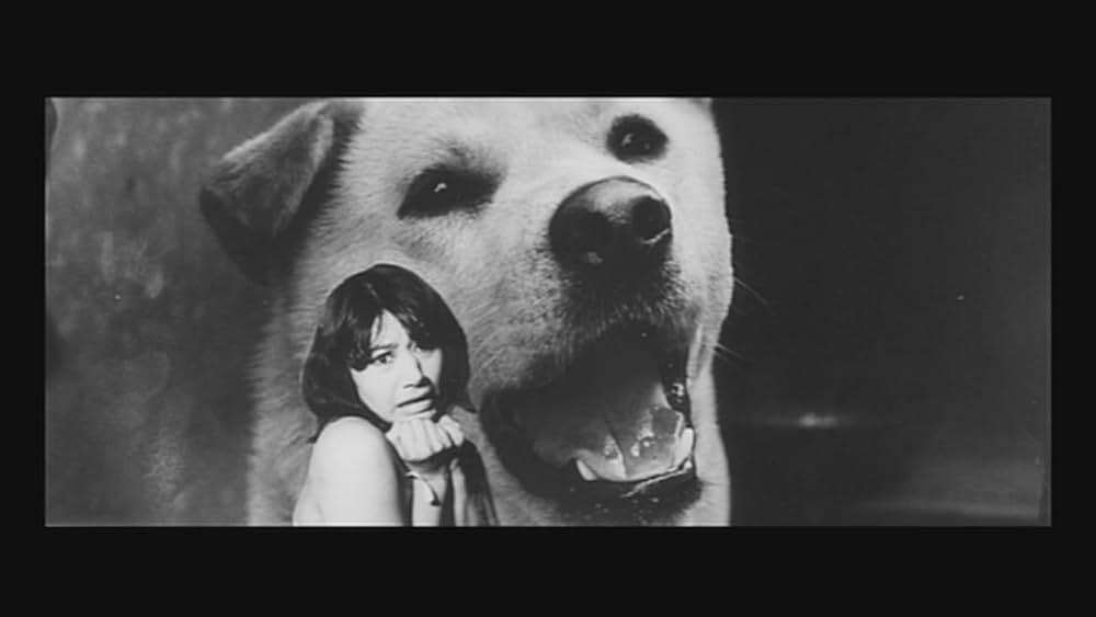 胎児が密猟する時の画像