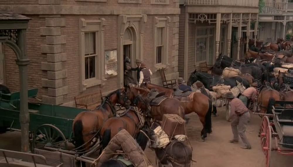 チビッ子ギャング台風（タイフーン）の画像