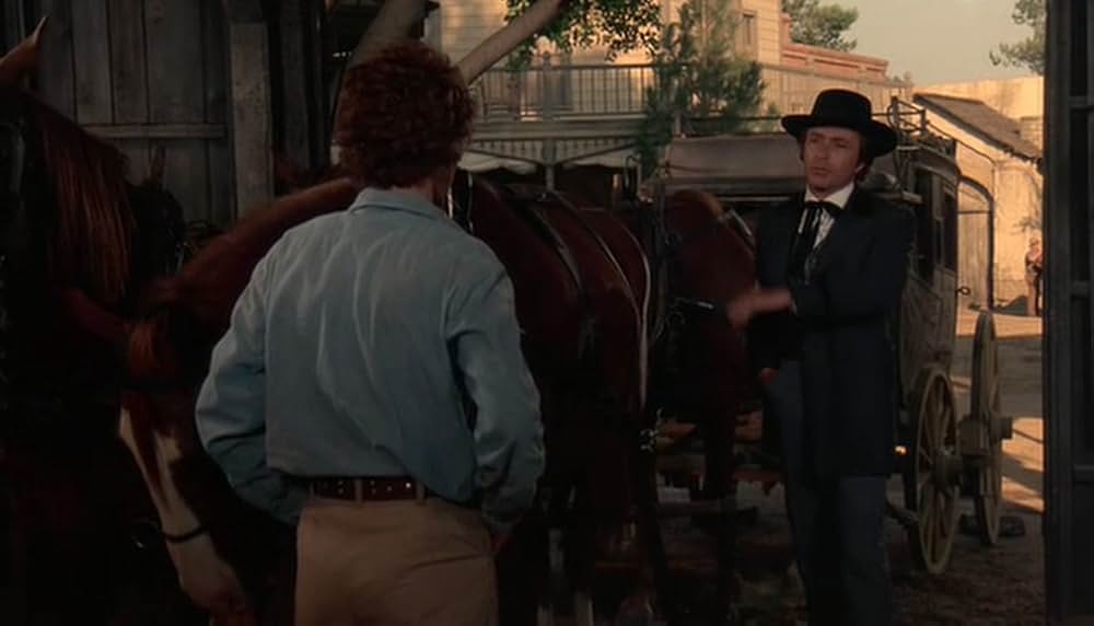 チビッ子ギャング台風（タイフーン）の画像