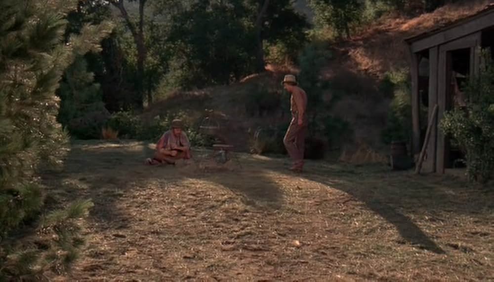 チビッ子ギャング台風（タイフーン）の画像