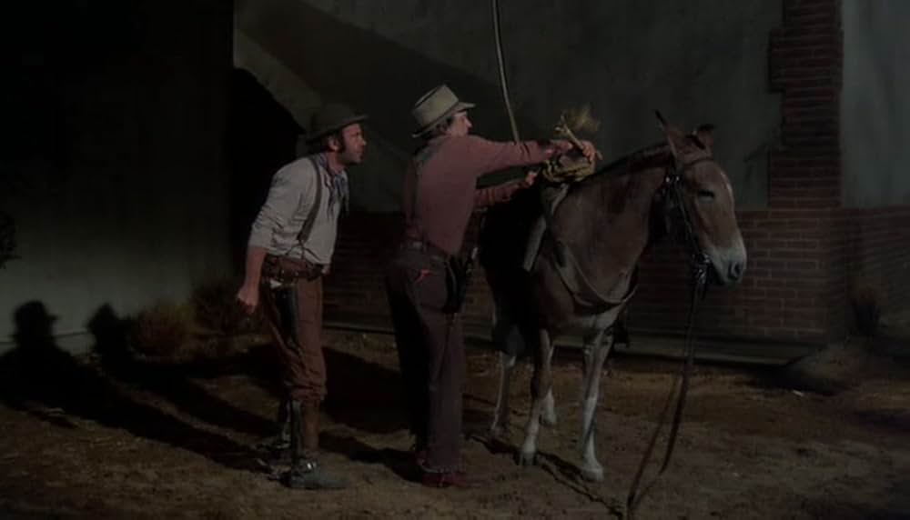 チビッ子ギャング台風（タイフーン）の画像