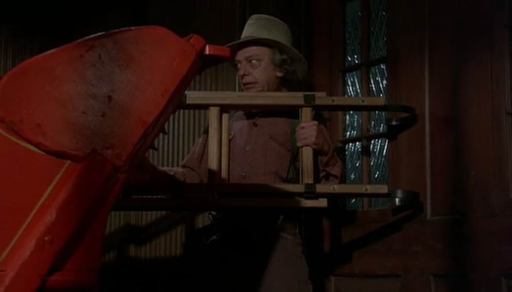 チビッ子ギャング台風（タイフーン）の画像