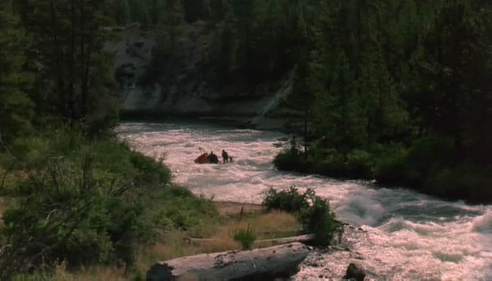チビッ子ギャング台風（タイフーン）の画像