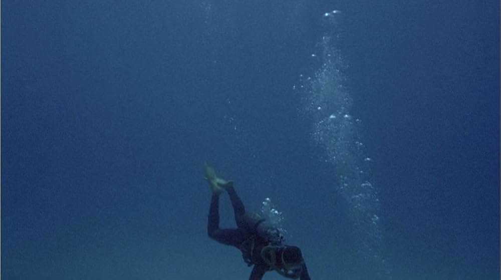 サミュエル・フラーのシャーク！／ザ・シャークの画像