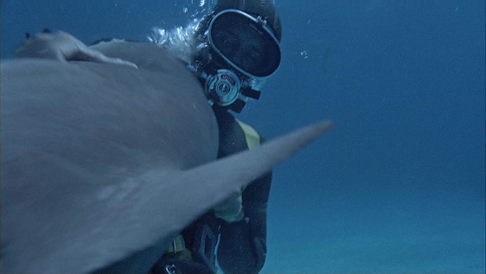 サミュエル・フラーのシャーク！／ザ・シャークの画像