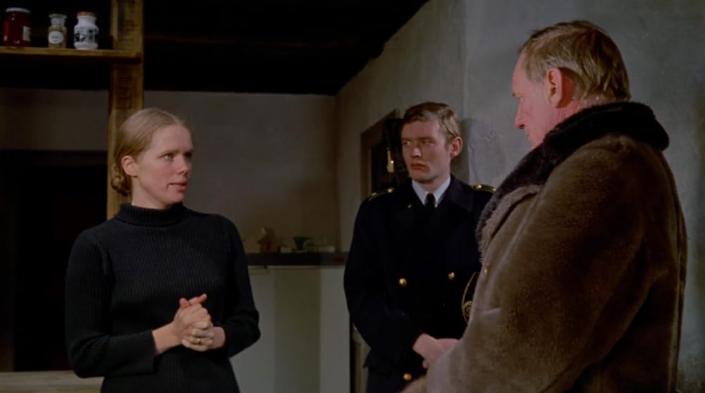 ナイトビジターの画像