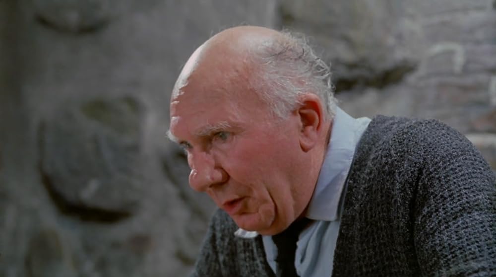 ナイトビジターの画像