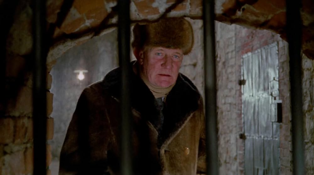 ナイトビジターの画像