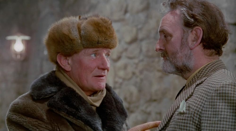 ナイトビジターの画像