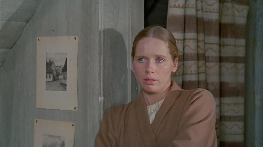 ナイトビジターの画像