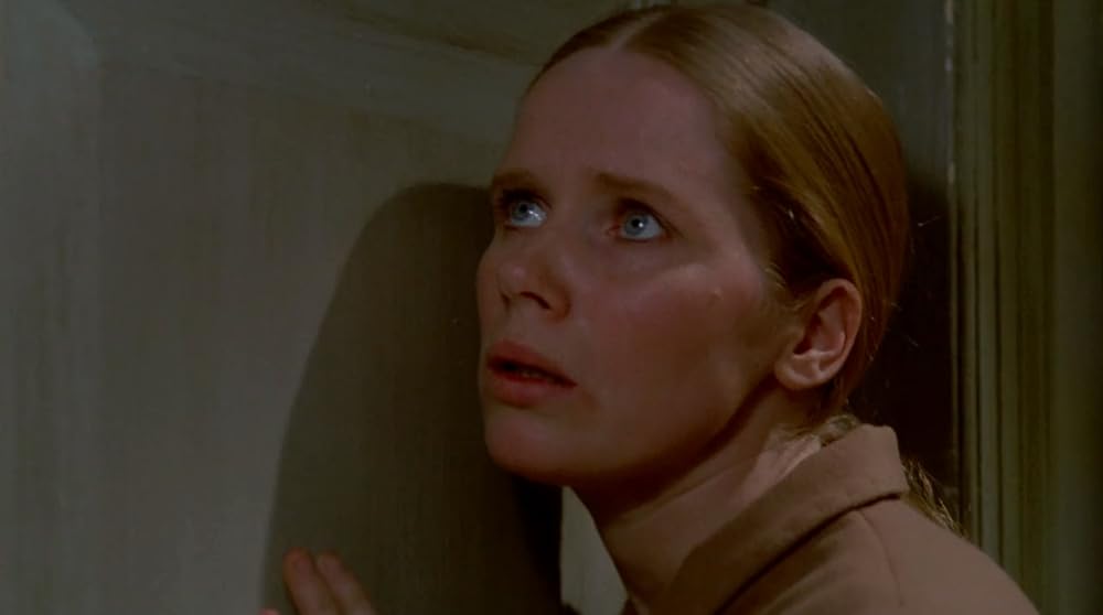 ナイトビジターの画像