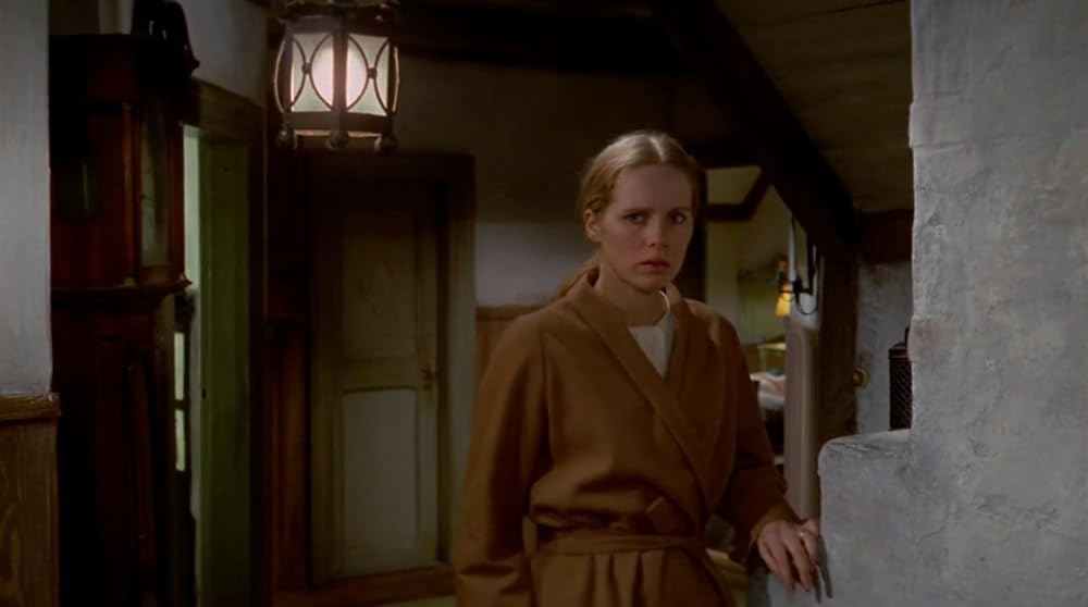 ナイトビジターの画像