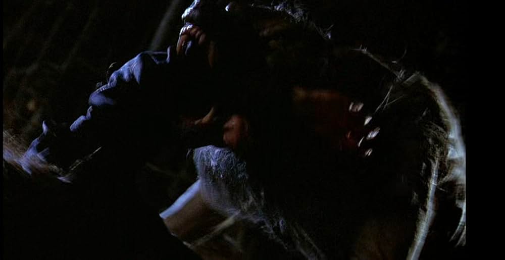 ジンジャー スナップスの画像