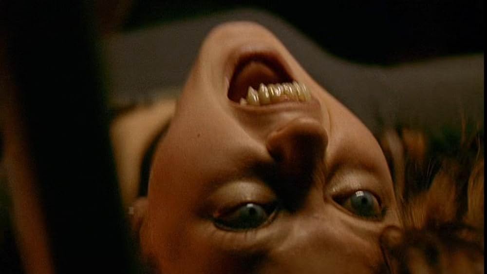 ジンジャー スナップスの画像