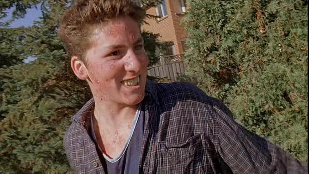 ジンジャー スナップスの画像