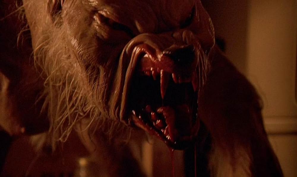 ジンジャー スナップスの画像