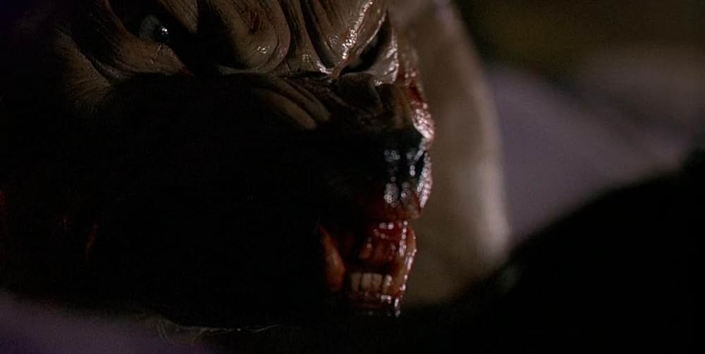 ジンジャー スナップスの画像