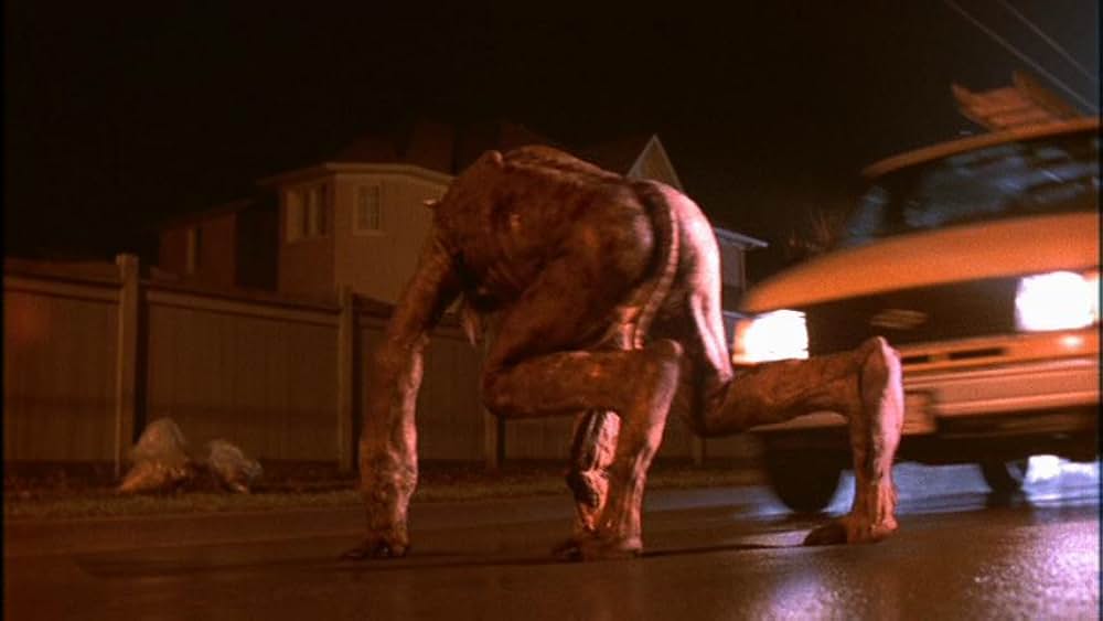 ジンジャー スナップスの画像