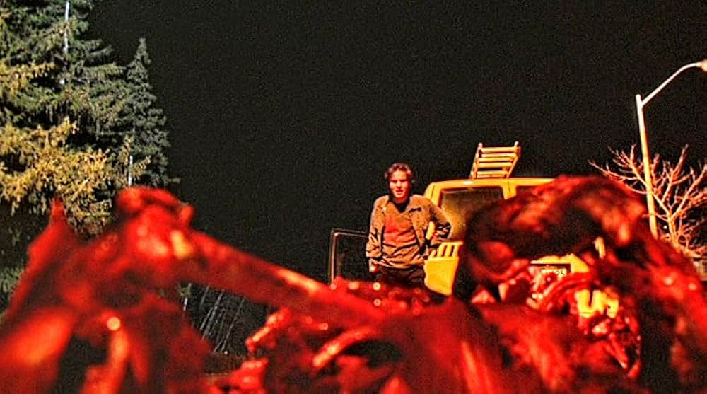 ジンジャー スナップスの画像