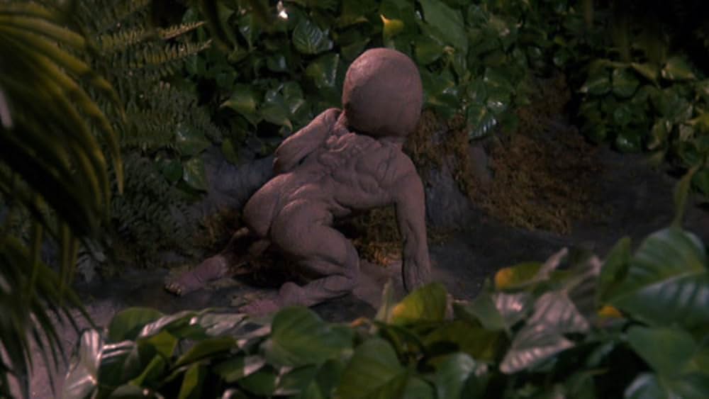 悪魔の赤ちゃん3／禁断の島の画像