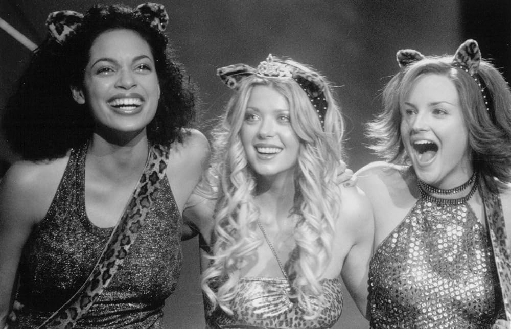 プッシーキャッツの画像