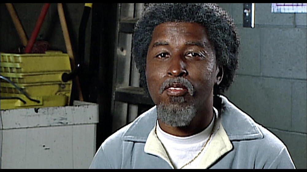 プッシーキャッツの画像