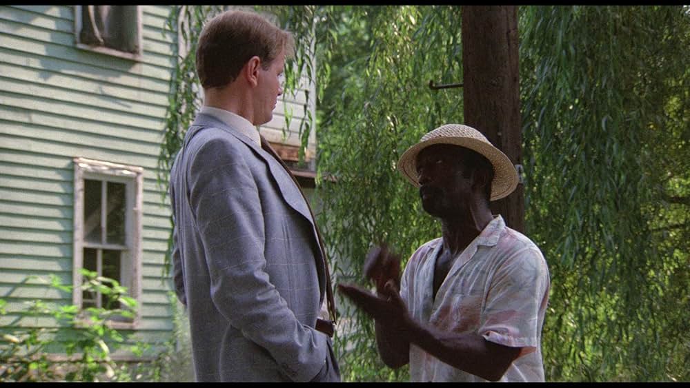 ザ・スタッフの画像