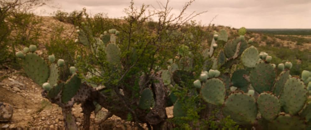 真実の囁きの画像